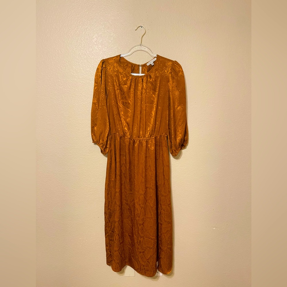 Sandra Darren Rattle Snake Silk Dress